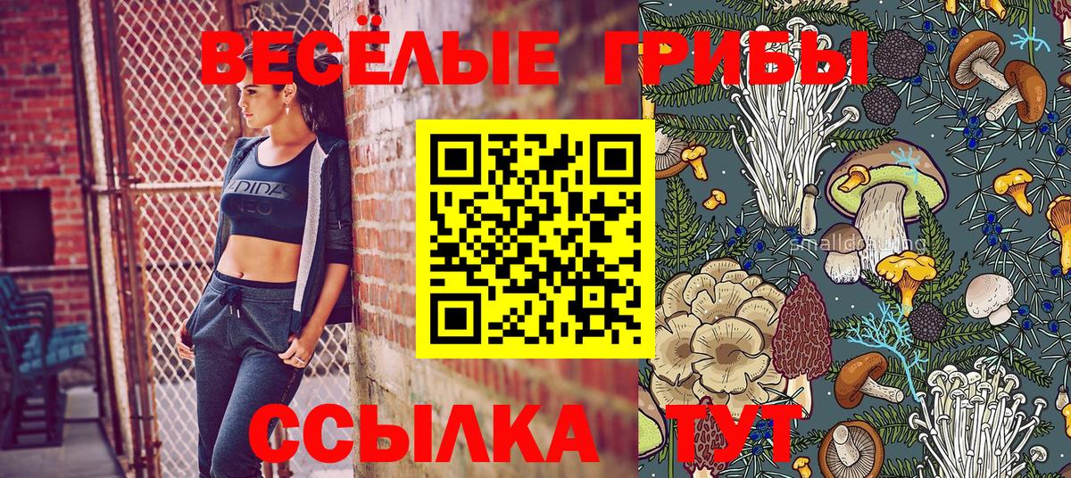Псилоцибиновые грибы прущие грибы Ангарск