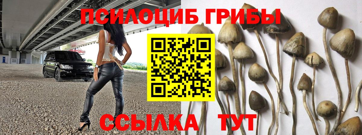 Ангарск  Галлюциногенные грибы Cubensis  Вход с VPN  Галлюциногенные грибы мухоморы 